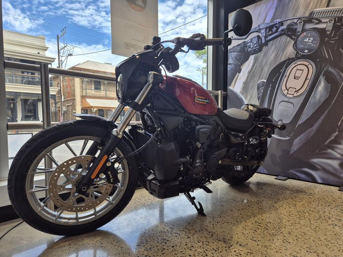 2025 Harley-Davidson Nightster (RH975) Sportster Orange