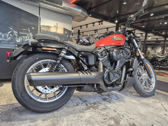 2025 Harley-Davidson Nightster (RH975) Sportster Orange