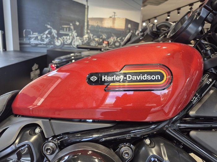 2025 Harley-Davidson Nightster (RH975) Sportster Orange