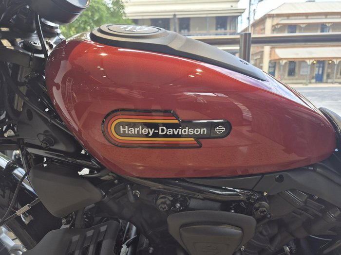 2025 Harley-Davidson Nightster (RH975) Sportster Orange