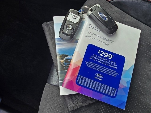 2019 Ford Endura