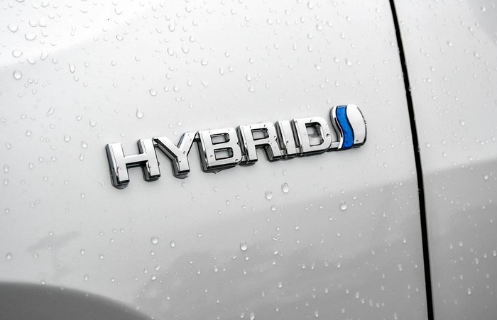 2024 Toyota RAV4 Cruiser