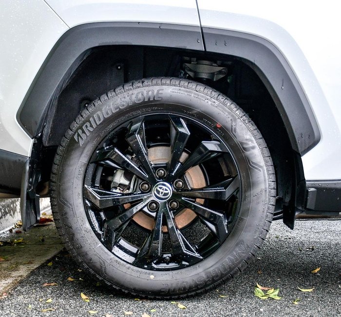 2024 Toyota RAV4 Cruiser