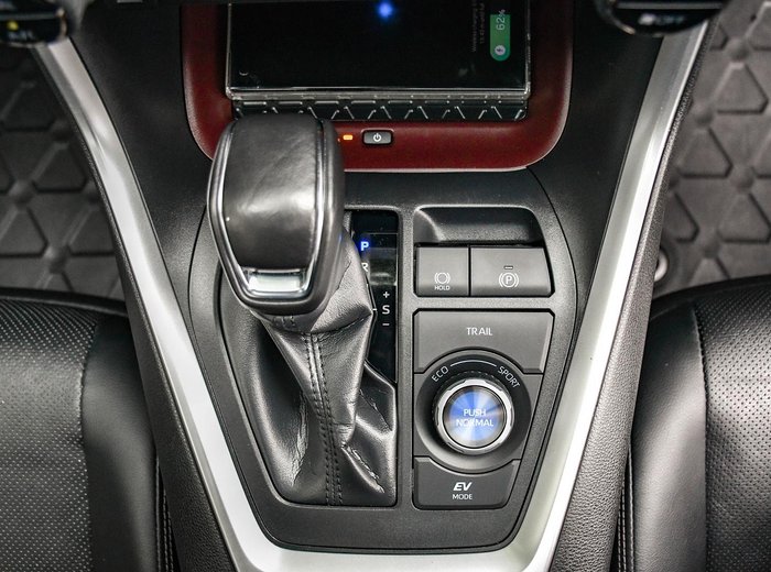 2024 Toyota RAV4 Cruiser