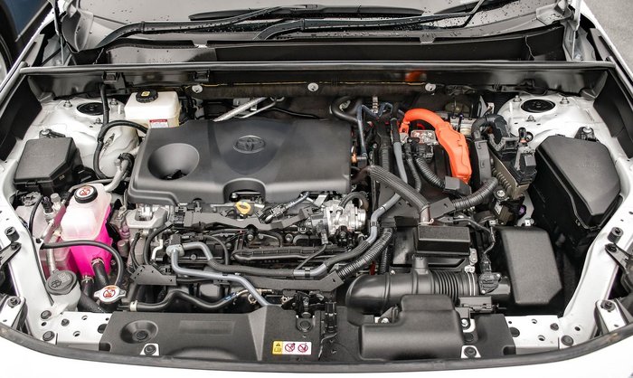 2024 Toyota RAV4 Cruiser