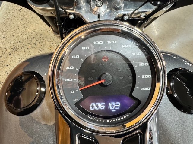 2021 HARLEY-DAVIDSON FLSB SPORT GLIDE (107)