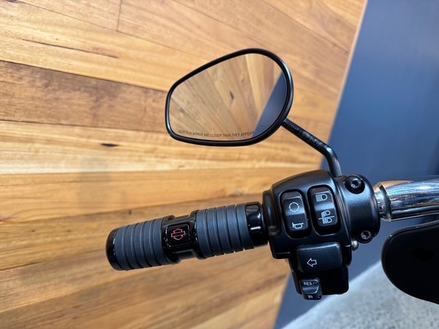 2021 HARLEY-DAVIDSON FLSB SPORT GLIDE (107)