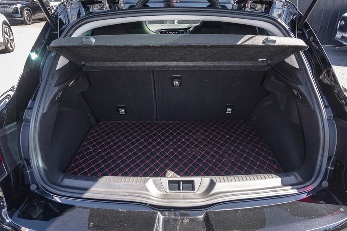 2021 Renault Megane R.S. Trophy