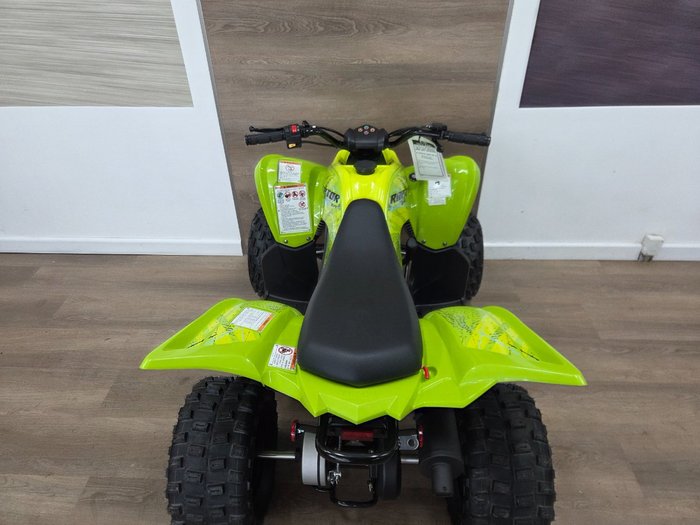 2025 Yamaha 2025 Yamaha 110CC YFM110RS