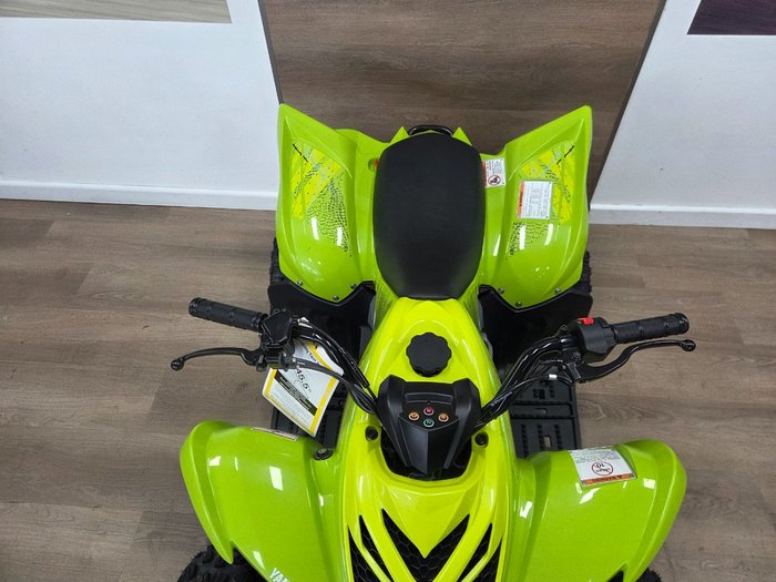 2025 Yamaha 2025 Yamaha 110CC YFM110RS