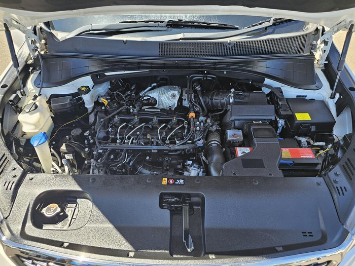2019 Kia Sorento Si