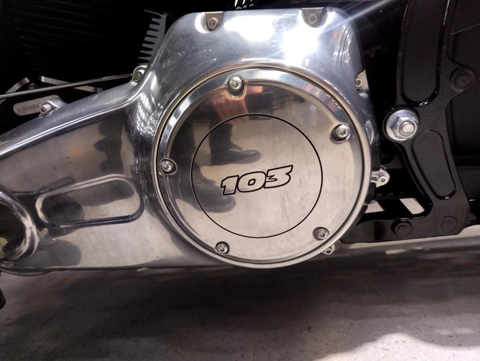 2017 Harley-Davidson Softail Slim (FLS) Softail Black