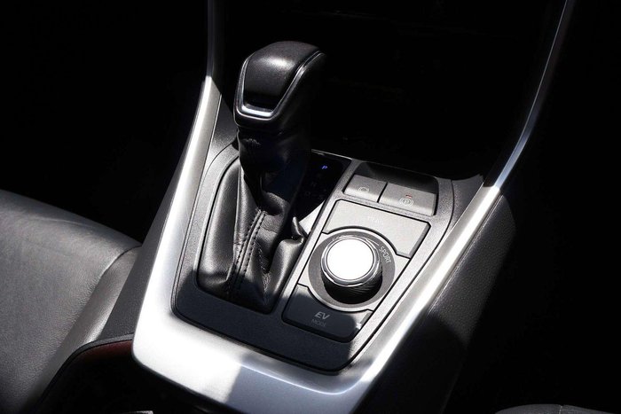 2020 Toyota RAV4 Cruiser