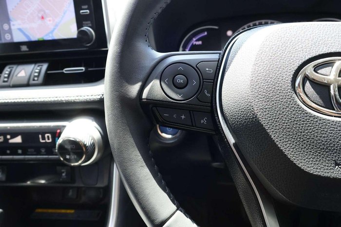 2020 Toyota RAV4 Cruiser