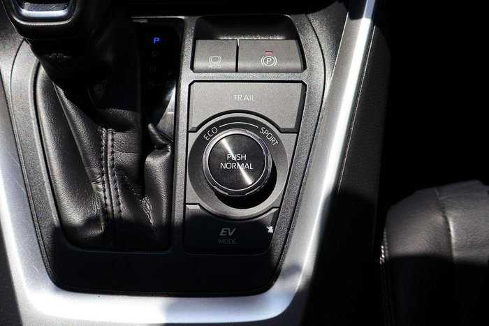 2020 Toyota RAV4 Cruiser