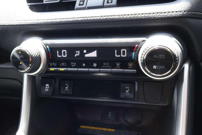 2020 Toyota RAV4 Cruiser