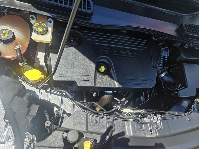 2019 Ford Escape Trend