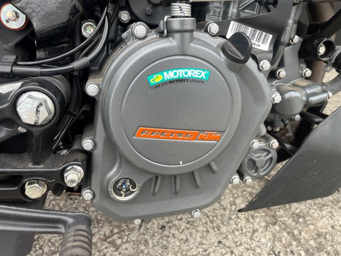 2024 KTM 200 Duke Duke Grey