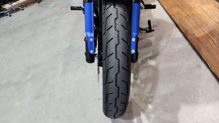 2026 HARLEY-DAVIDSON FXLRST LOW RIDER ST (117)