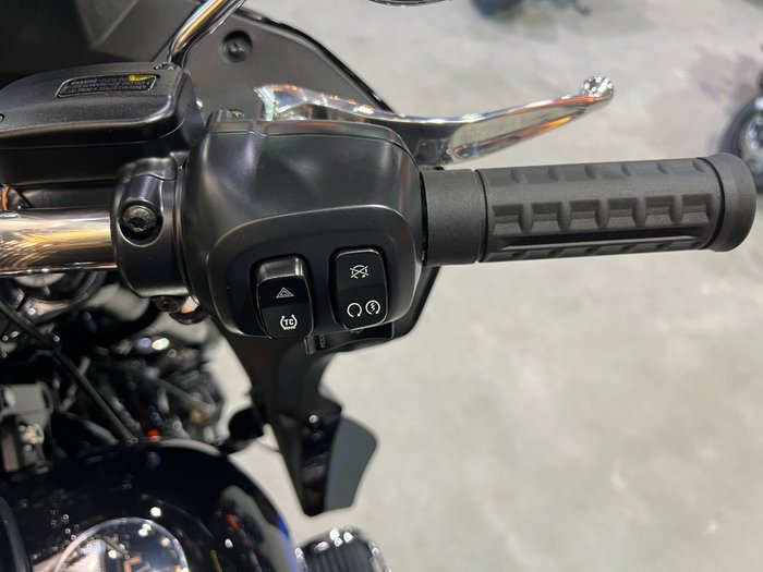 2026 HARLEY-DAVIDSON FXLRST LOW RIDER ST (117)