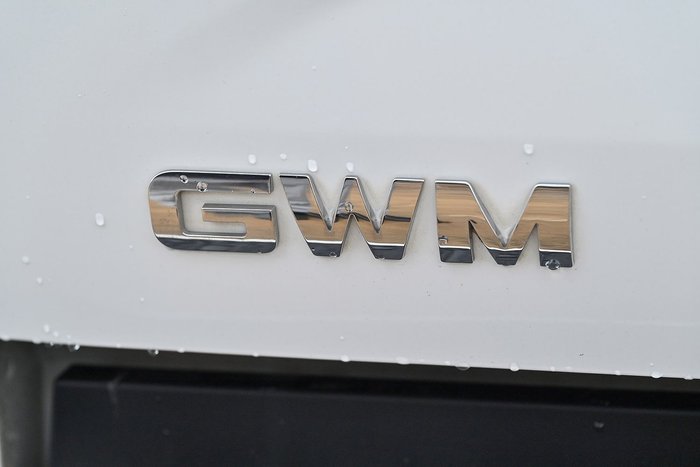 2020 GWM Ute Cannon-L