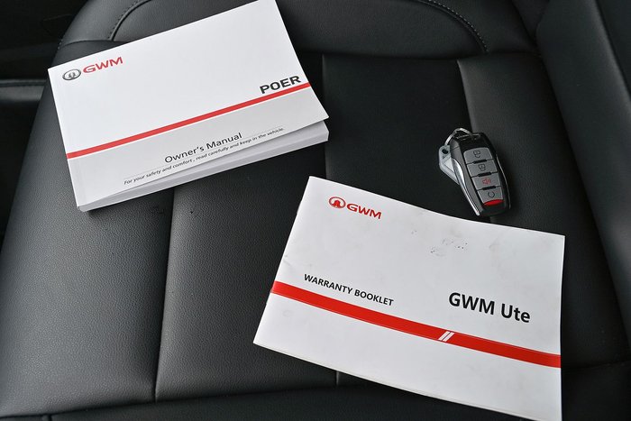 2020 GWM Ute Cannon-L