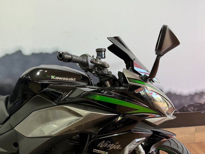 2020 Kawasaki NINJA 1000SX GREEN