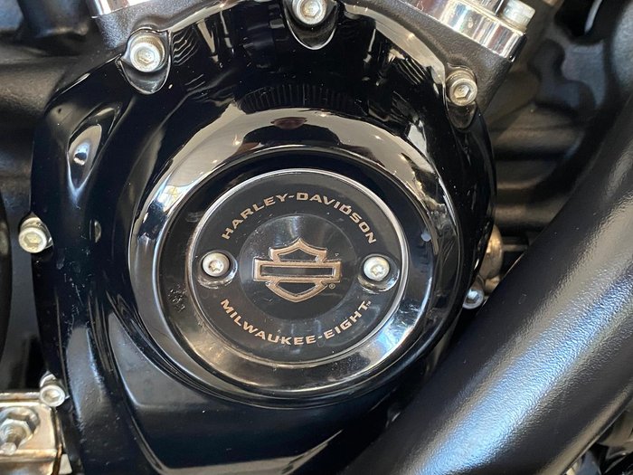 2022 Harley-Davidson Street Glide ST 117 (FLHXST) Touring Black