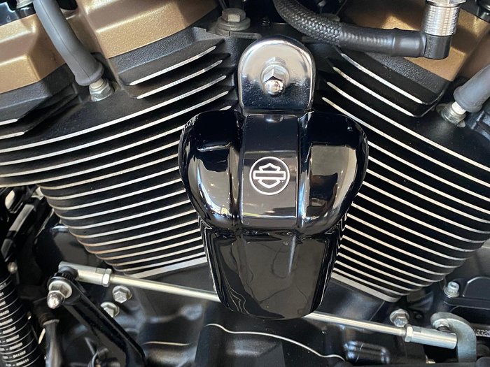 2022 Harley-Davidson Street Glide ST 117 (FLHXST) Touring Black