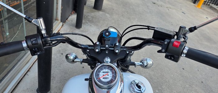 2015 Yamaha XVS650 V-STAR CUSTOM WHITE