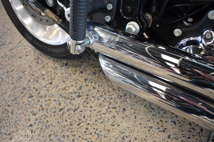 2010 HARLEY-DAVIDSON FXSTC SOFTAIL CUSTOM