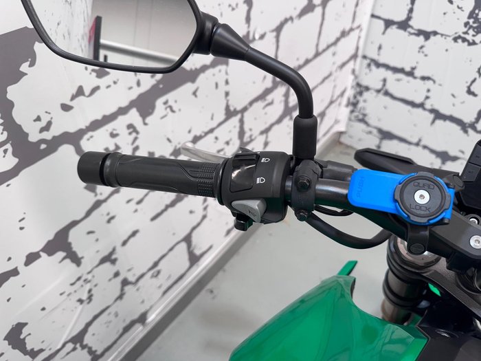 2020 Honda CB300R (CB300RA) CB300 Green