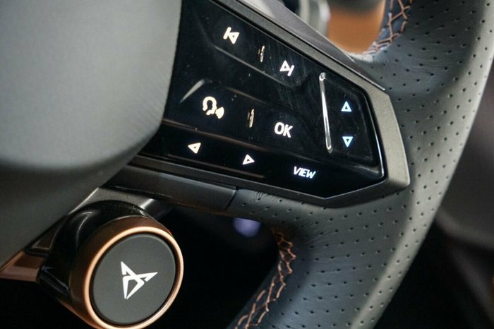 2024 CUPRA Tavascan Endurance