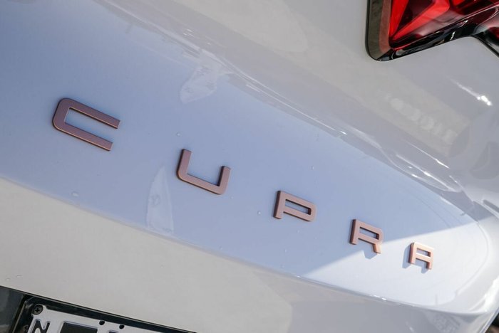 2024 CUPRA Tavascan Endurance
