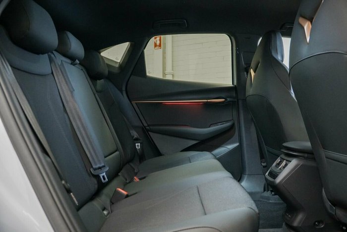 2024 CUPRA Tavascan Endurance