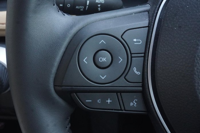 2024 Toyota RAV4 Cruiser