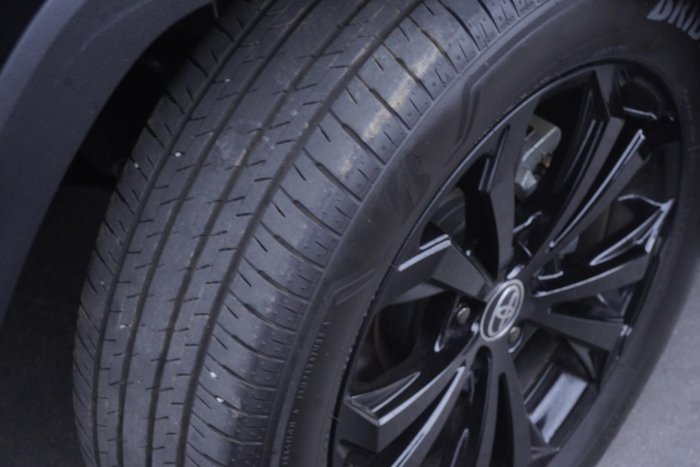 2024 Toyota RAV4 Cruiser