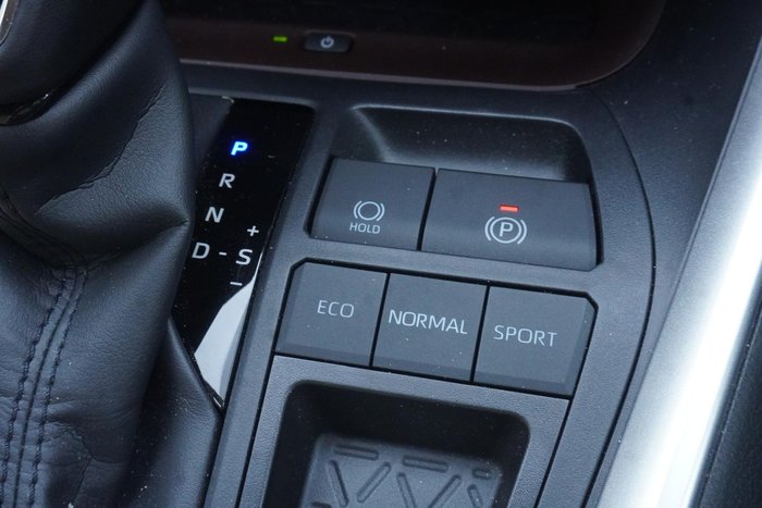 2024 Toyota RAV4 Cruiser