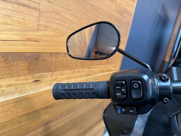 2026 HARLEY-DAVIDSON FXLRST LOW RIDER ST (117)