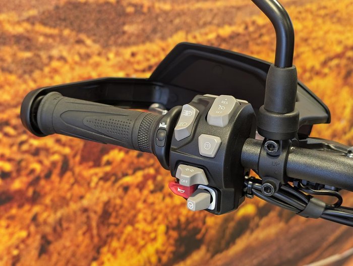 2025 Triumph Tiger 900 Alpine Edition Tiger White