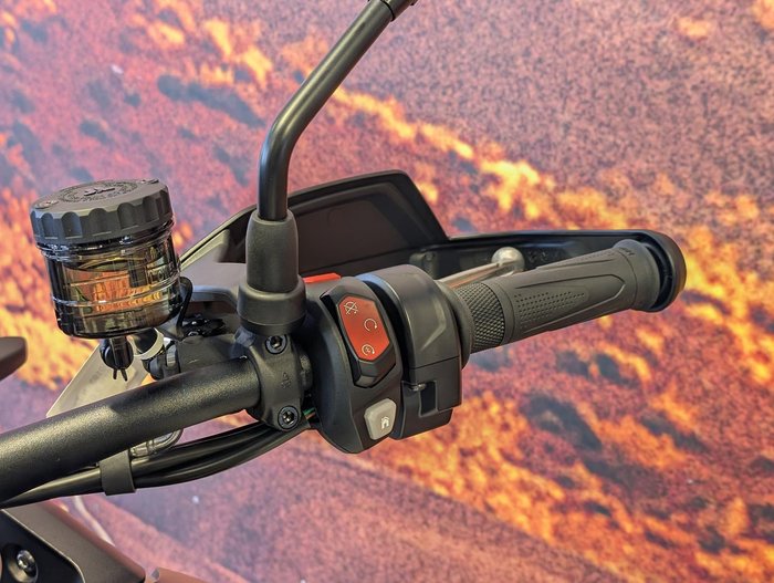 2025 Triumph Tiger 900 Alpine Edition Tiger White