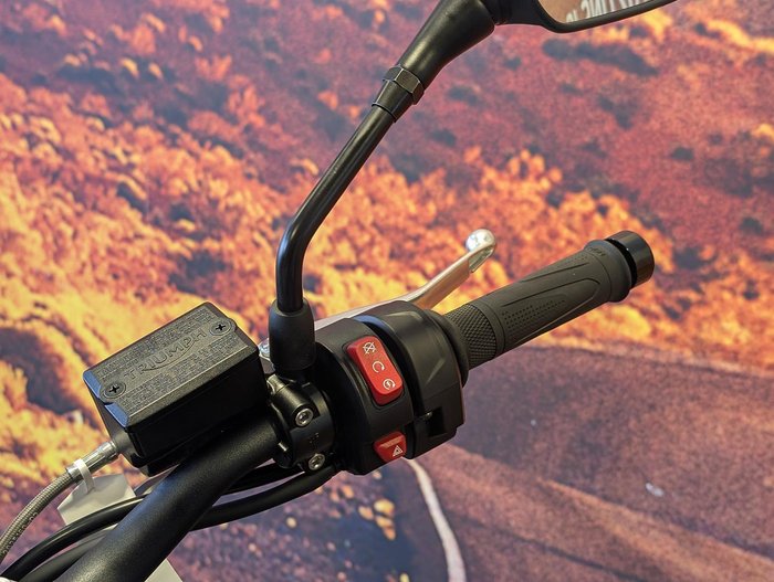 2025 Triumph Trident 800 Trident Black