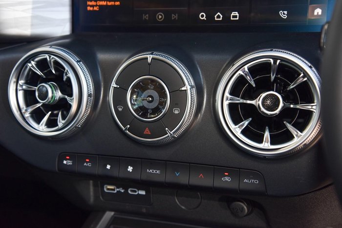 2025 GWM Tank 300 Lux