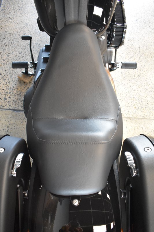 2026 HARLEY-DAVIDSON FXLRST LOW RIDER ST (117)