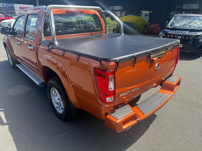 2020 Great Wall Steed