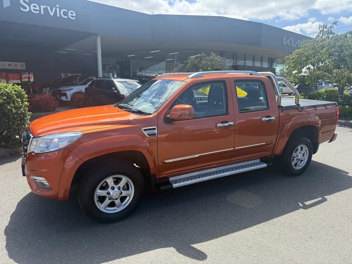 2020 Great Wall Steed