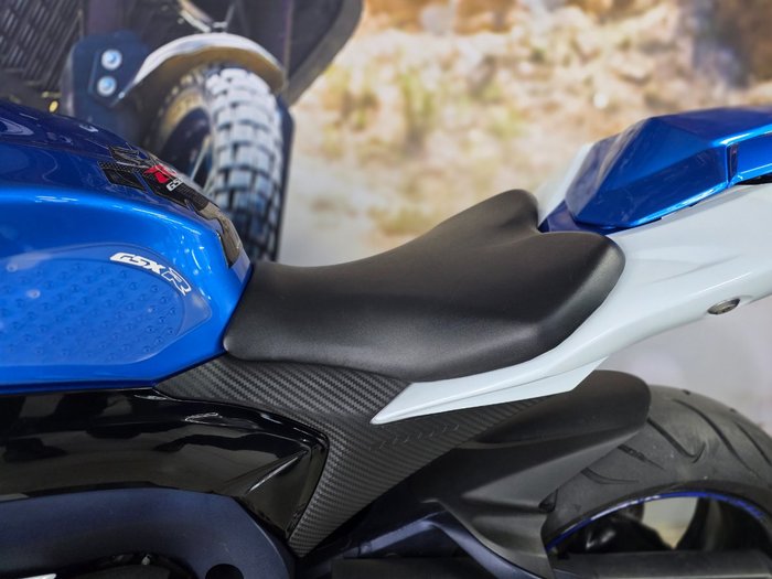 2010 Suzuki GSX-R1000 BLUE