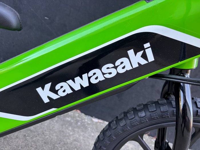 2025 Kawasaki Kawasaki Elektrode 16 (KSK030ARFNN)