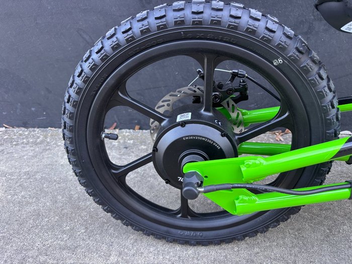 2024 Kawasaki 2024 Kawasaki ELECTRIC ELEKTRODE (KSK030) GREEN