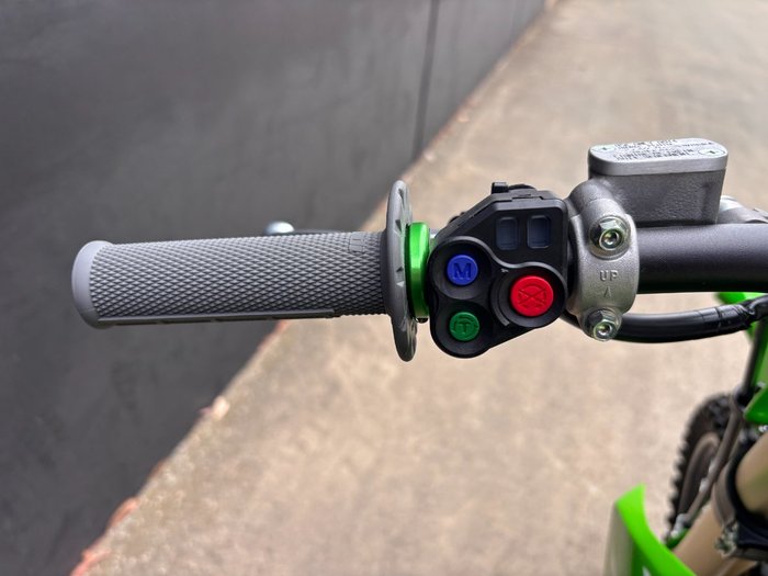 2025 Kawasaki KX250 GREEN